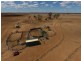 Homedale, Moree NSW 2400