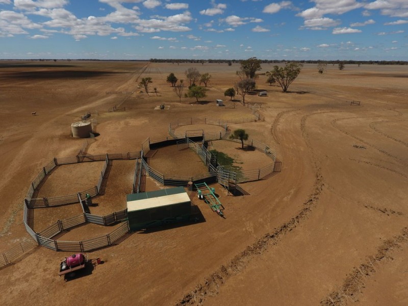 Homedale, Moree NSW 2400