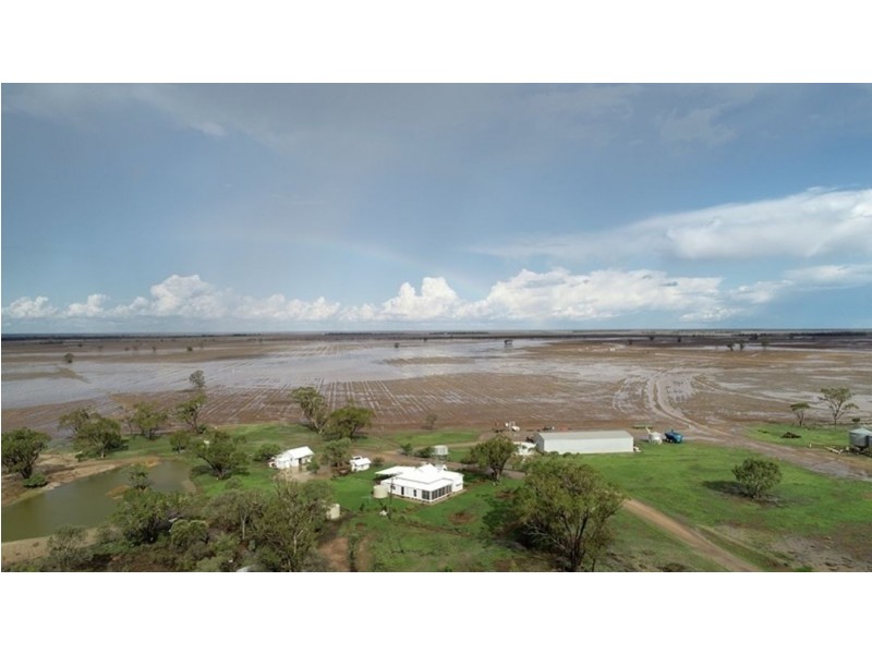 Homedale, Moree NSW 2400