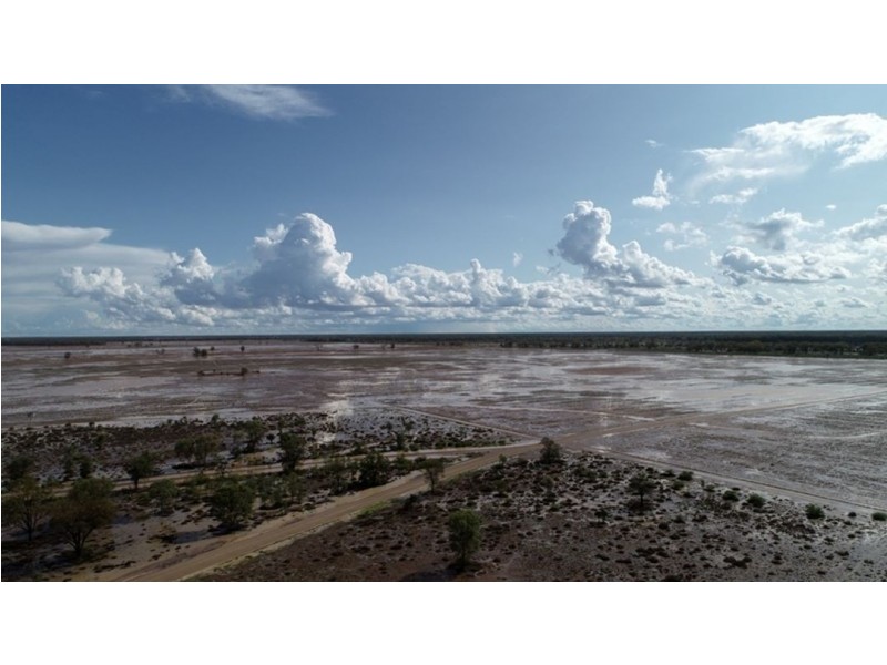 Homedale, Moree NSW 2400