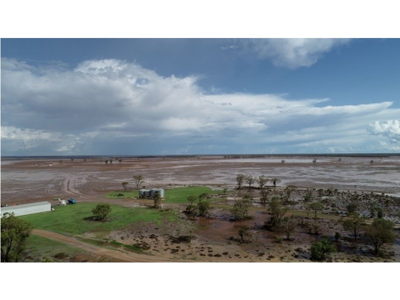 Homedale, Moree NSW 2400