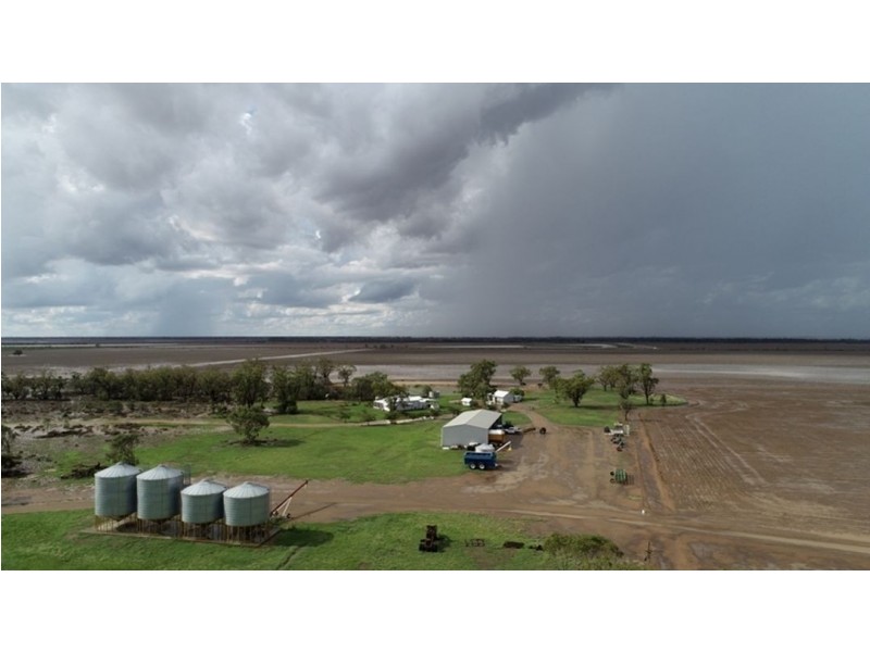 Homedale, Moree NSW 2400