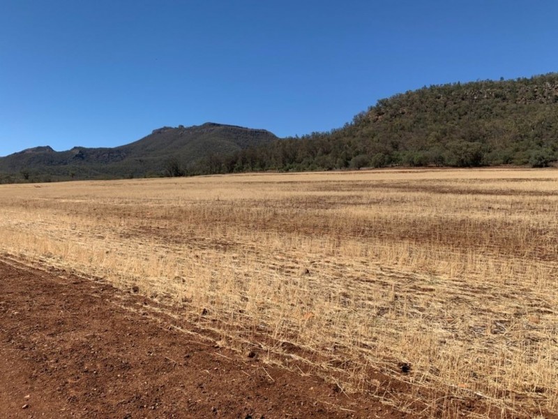 Greenvale Homestead, Edgeroi NSW 2390