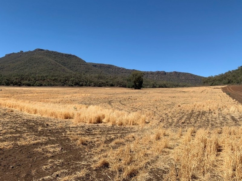 Greenvale Homestead, Edgeroi NSW 2390