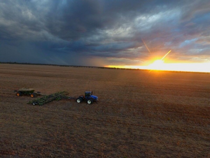 Willalee, Moree NSW 2400