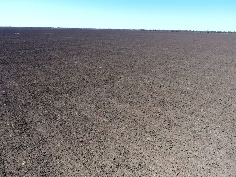 Willalee, Moree NSW 2400