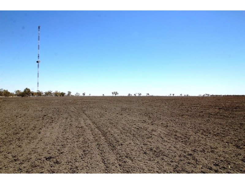 Willalee, Moree NSW 2400