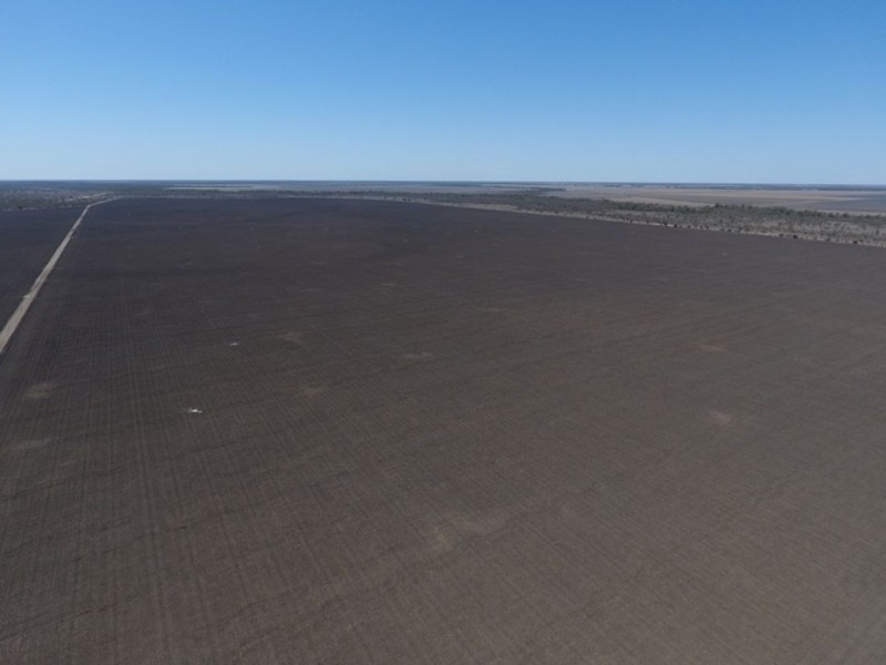 Willalee, Moree NSW 2400