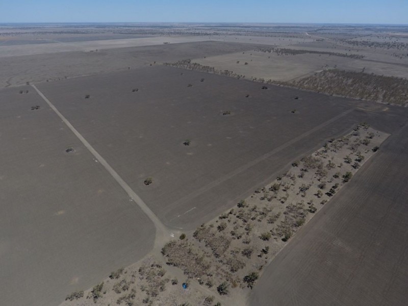 Willalee, Moree NSW 2400