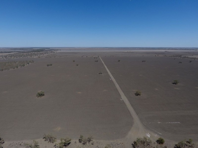 Willalee, Moree NSW 2400