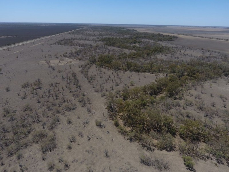 Willalee, Moree NSW 2400