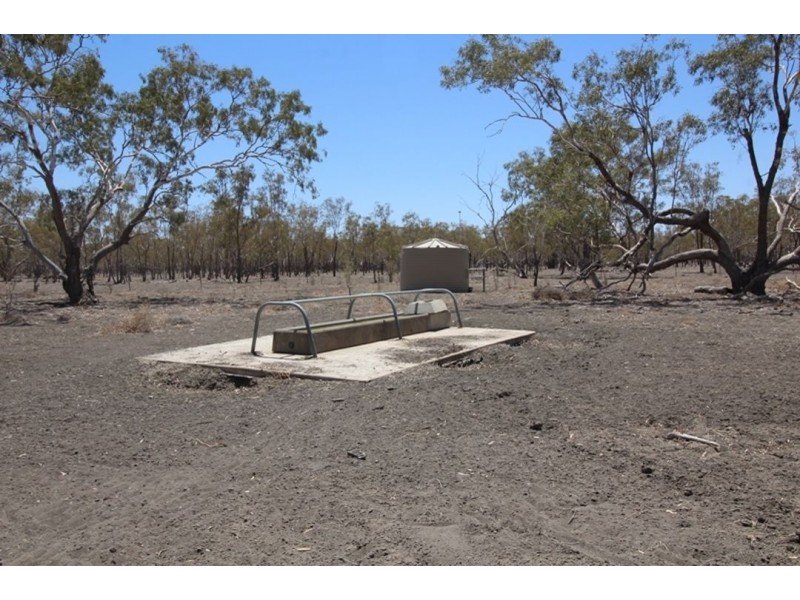 Willalee, Moree NSW 2400