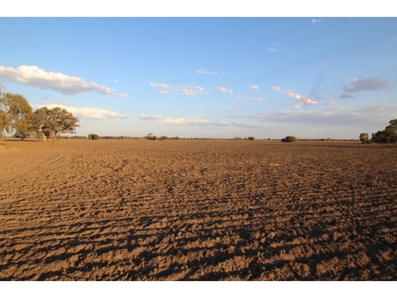 Swanley, Moree NSW 2400