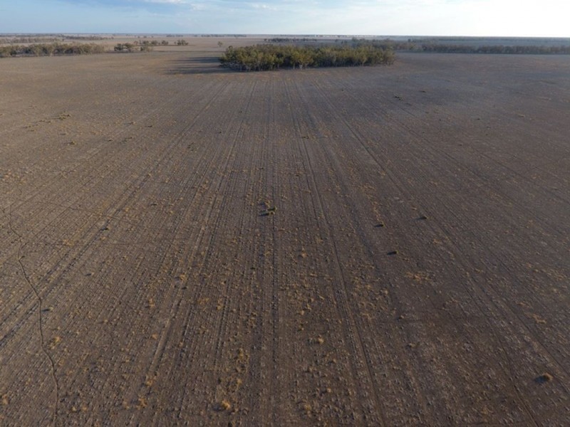 Swanley, Moree NSW 2400