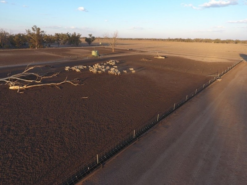 Swanley, Moree NSW 2400