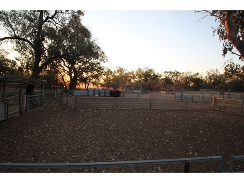 Swanley, Moree NSW 2400