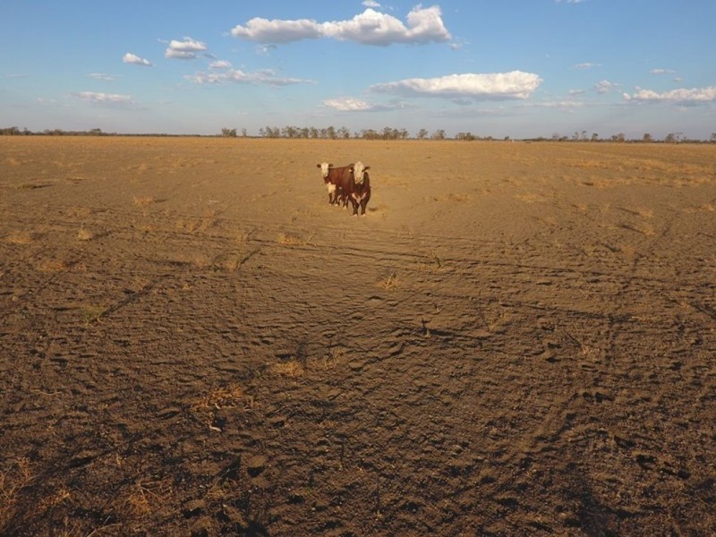 Swanley, Moree NSW 2400