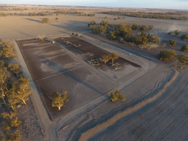 Swanley, Moree NSW 2400