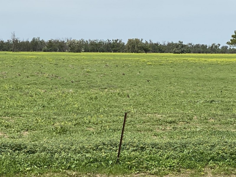 Swanley, Moree NSW 2400