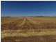 Willow Glen & Pt Allawah, Mullaley NSW 2379