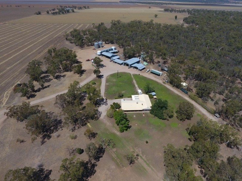 Willow Glen & Pt Allawah, Mullaley NSW 2379