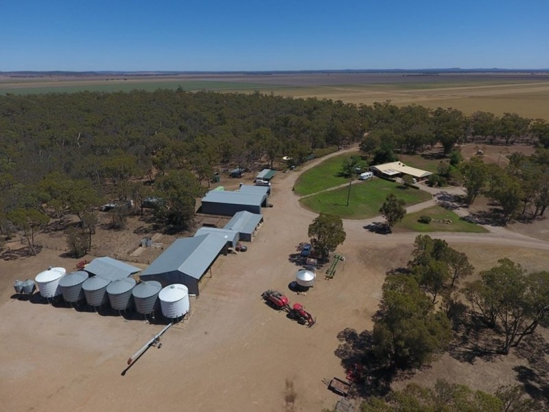 Willow Glen & Pt Allawah, Mullaley NSW 2379