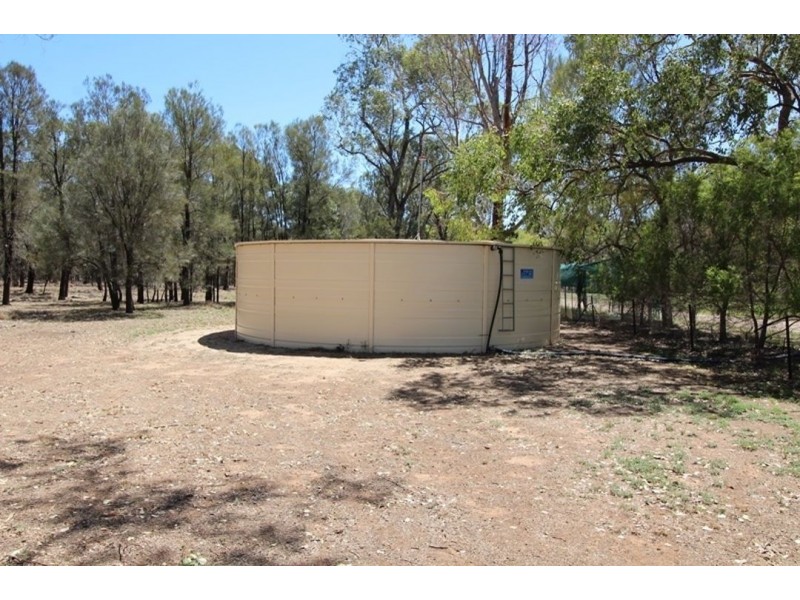 Willow Glen & Pt Allawah, Mullaley NSW 2379