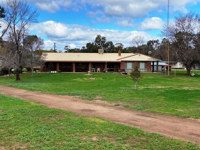 Willow Glen & Pt Allawah, Mullaley NSW 2379