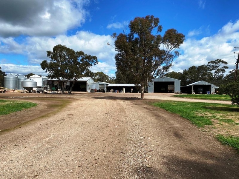 Willow Glen & Pt Allawah, Mullaley NSW 2379