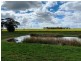 Willow Glen & Pt Allawah, Mullaley NSW 2379