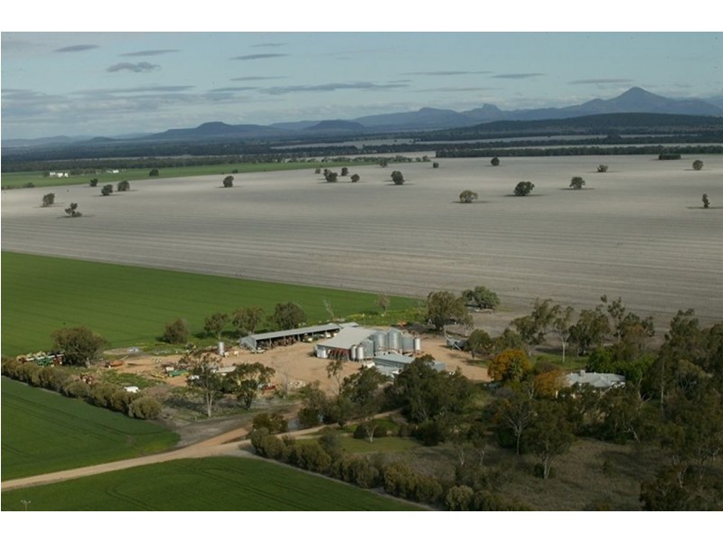 Merrimbla, Gurley NSW 2398