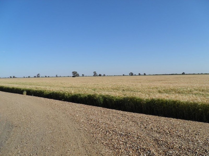 Merrimbla, Gurley NSW 2398