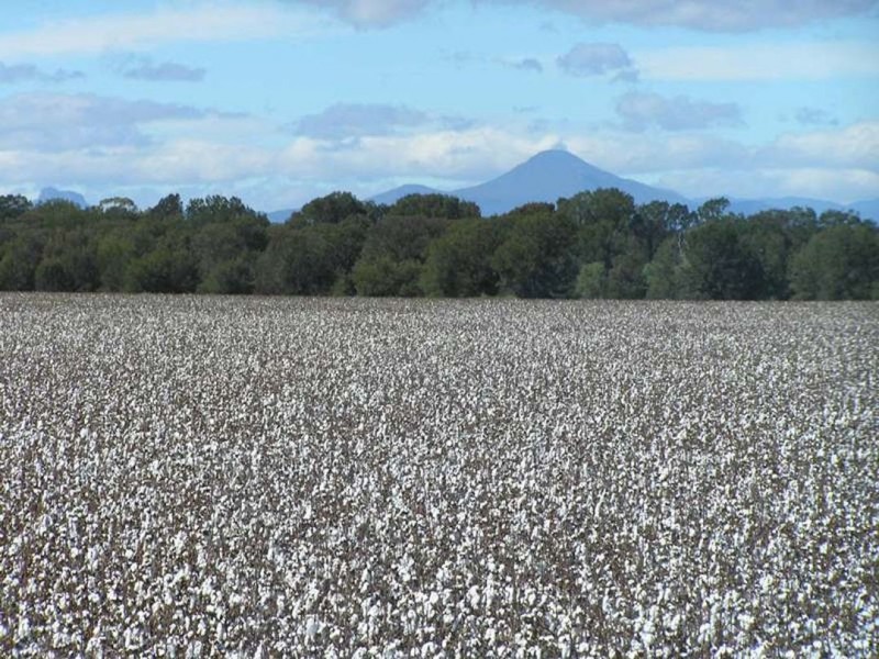 Merrimbla, Gurley NSW 2398