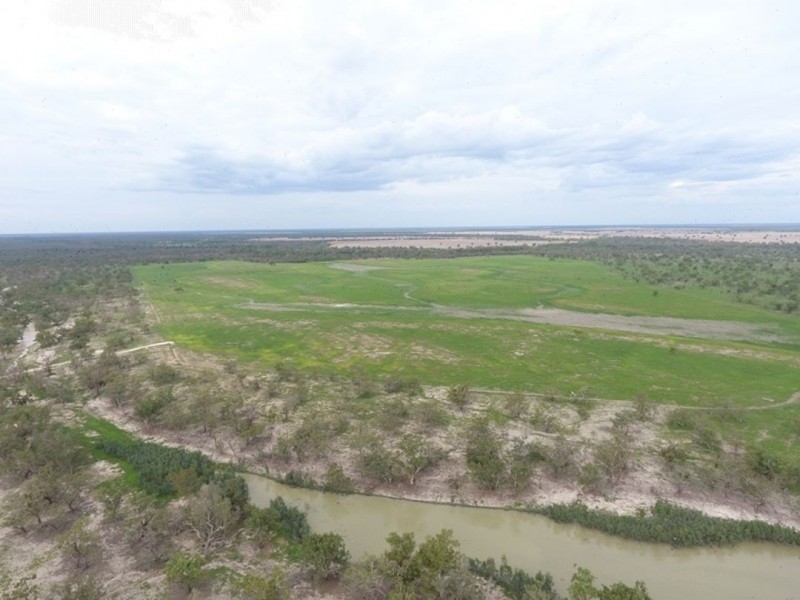 Wirrabilla, Collarenebri NSW 2833