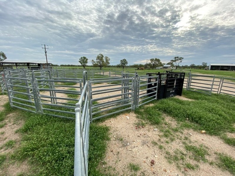 Wirrabilla, Collarenebri NSW 2833