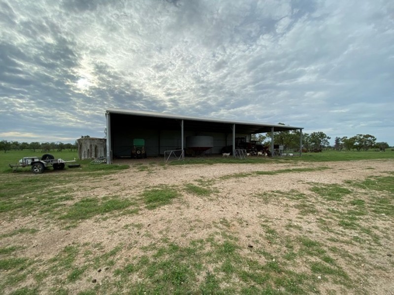 Wirrabilla, Collarenebri NSW 2833