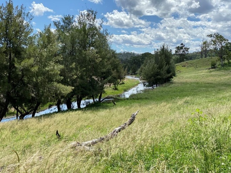 Cluny, Bingara NSW 2404