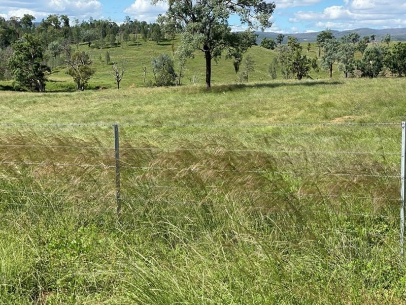 Cluny, Bingara NSW 2404