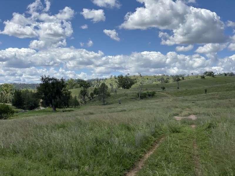 Cluny, Bingara NSW 2404