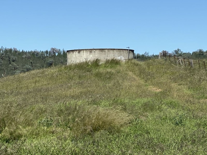 Cluny, Bingara NSW 2404