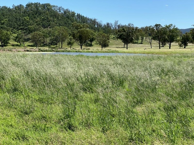 Cluny, Bingara NSW 2404