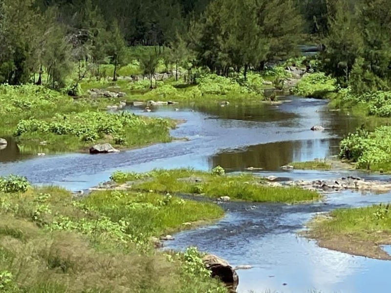 Cluny, Bingara NSW 2404
