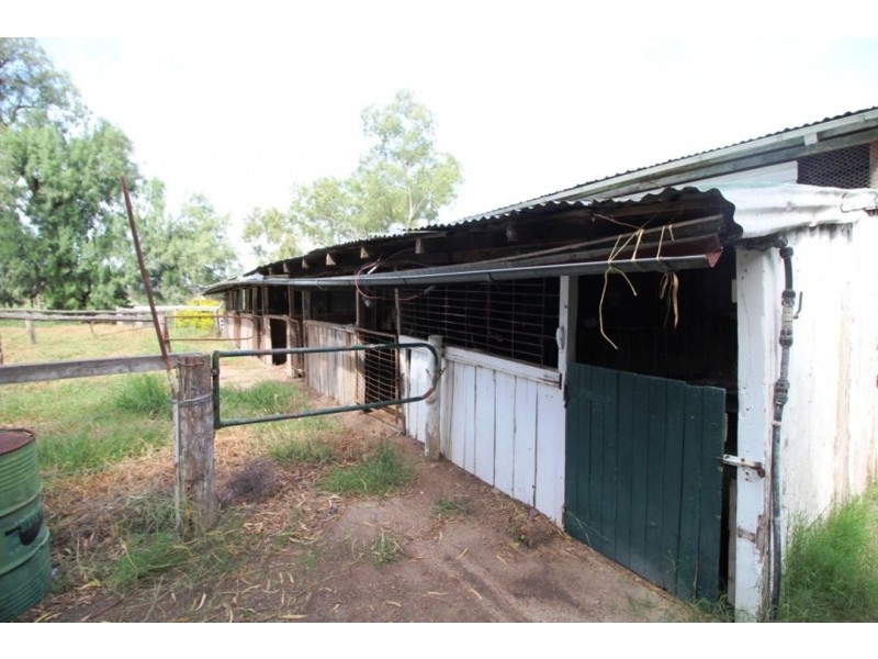 Camelot Mungindi Road, Moree NSW 2400