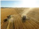 Boolah Group – Land & Business Investment, Moree NSW 2400