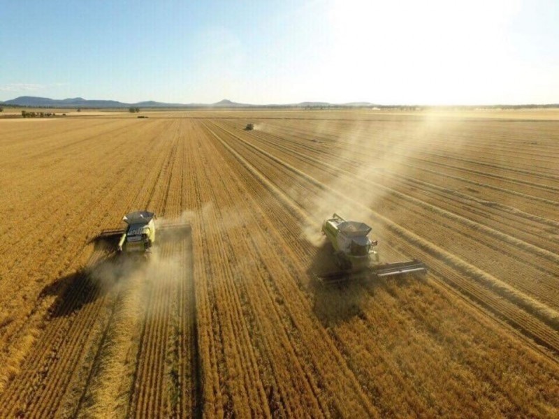 Boolah Group – Land & Business Investment, Moree NSW 2400