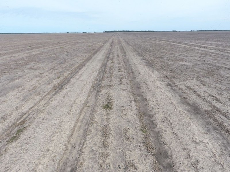 Boolah Group – Land & Business Investment, Moree NSW 2400