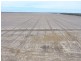 Boolah Group – Land & Business Investment, Moree NSW 2400
