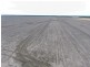 Boolah Group – Land & Business Investment, Moree NSW 2400