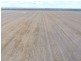 Boolah Group – Land & Business Investment, Moree NSW 2400