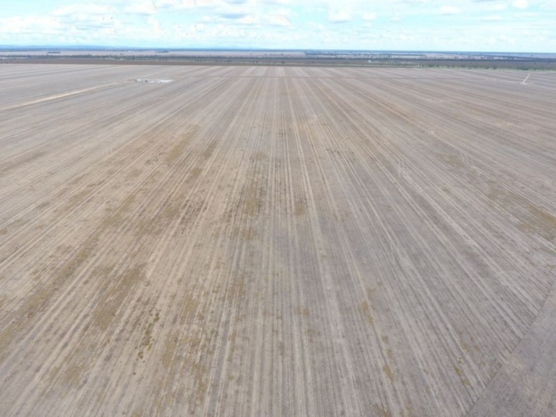Boolah Group – Land & Business Investment, Moree NSW 2400